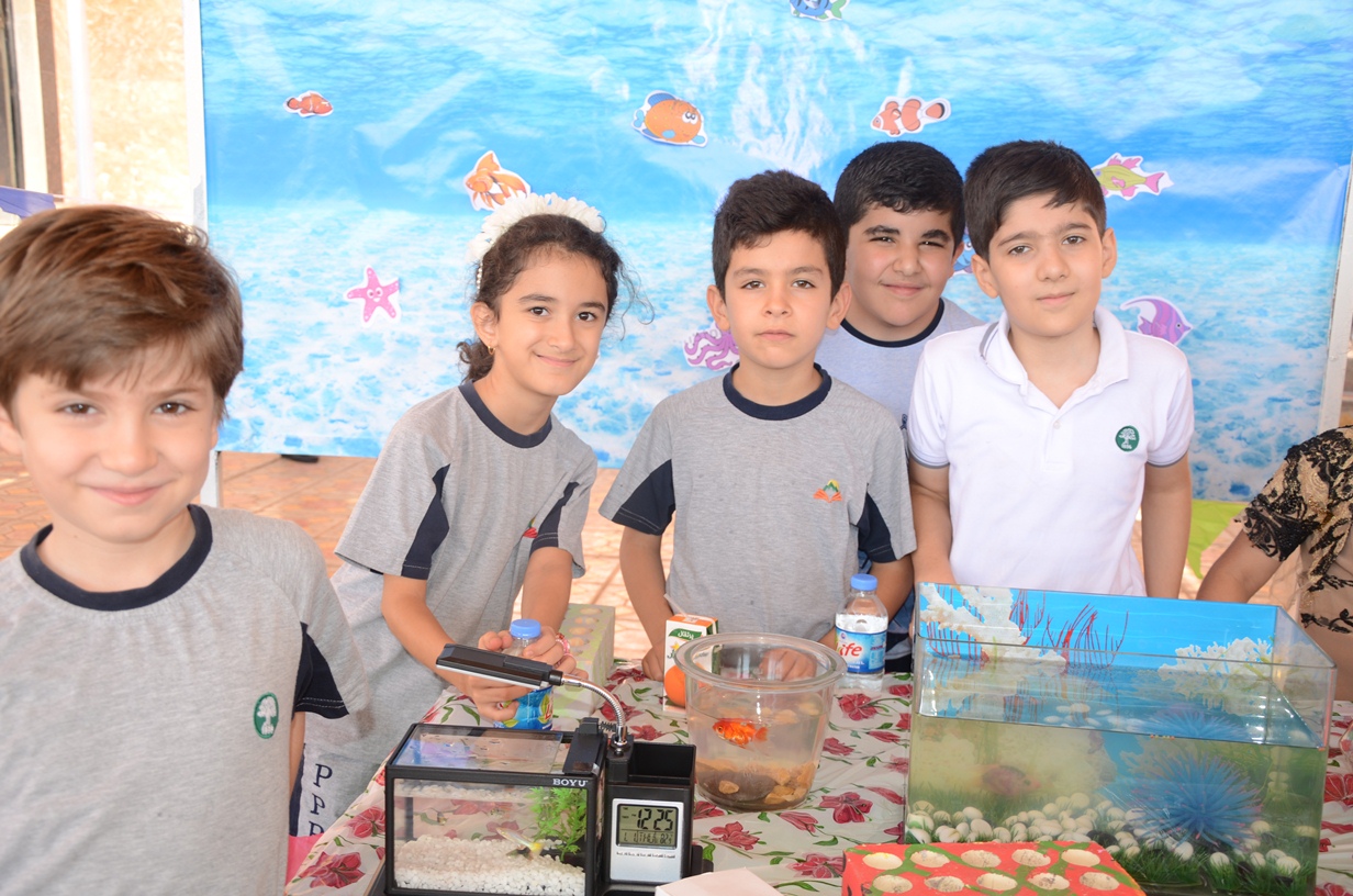 Students at Sardam International School Create Aquariums
